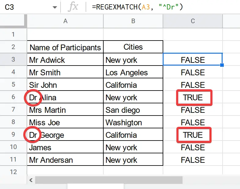 How to use REGEXMATCH Function in Google Sheets 7