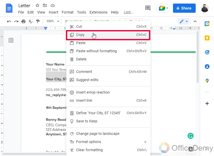 How to Copy Formatting in Google Docs 12