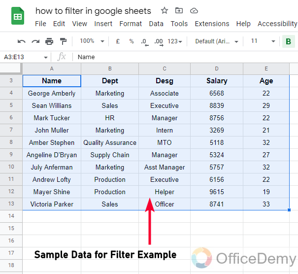 How to Filter in Google Sheets 1