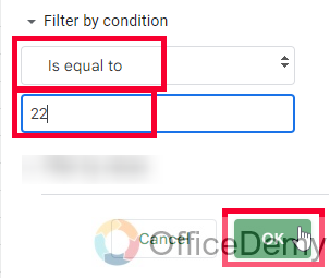 How to Filter in Google Sheets 24