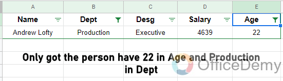 How to Filter in Google Sheets 25