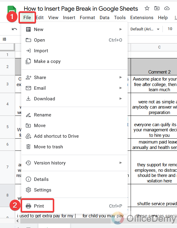 How to Insert Page Break in Google Sheets 15