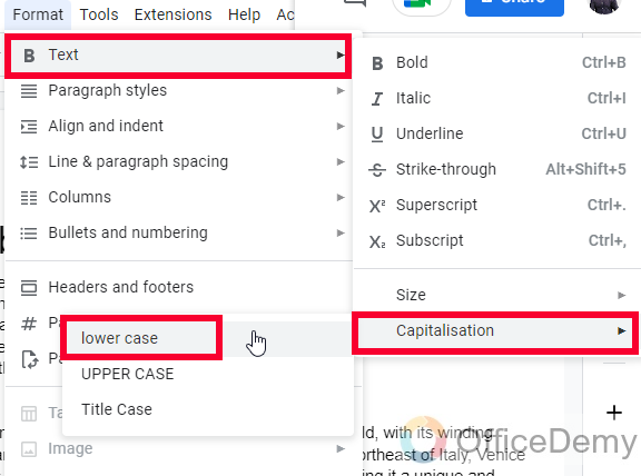 How to Make All Letters Lowercase on Google Docs 4