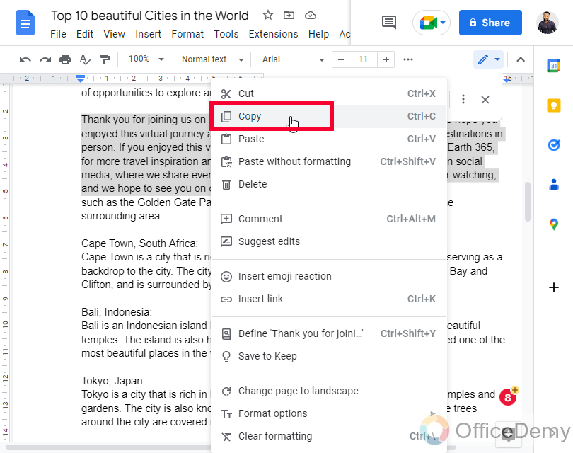 How to Make All Letters Lowercase on Google Docs 19