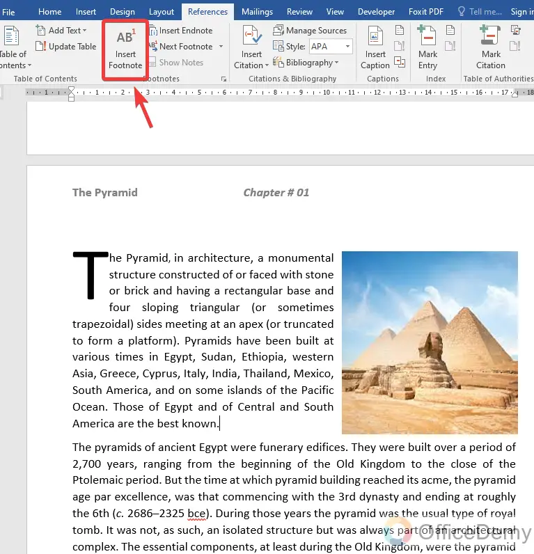 How to add a footnote in Microsoft Word 4