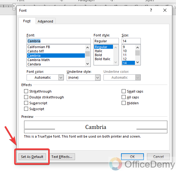 How to change default font in Microsoft Word 6