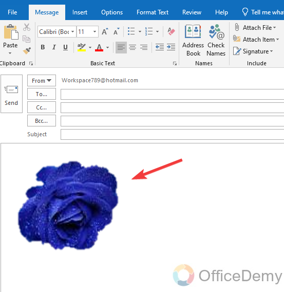How to Insert a Picture in Outlook Email 24