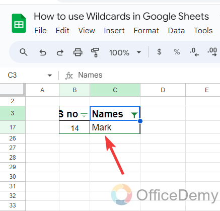 How to use wildcards in Google Sheets 15