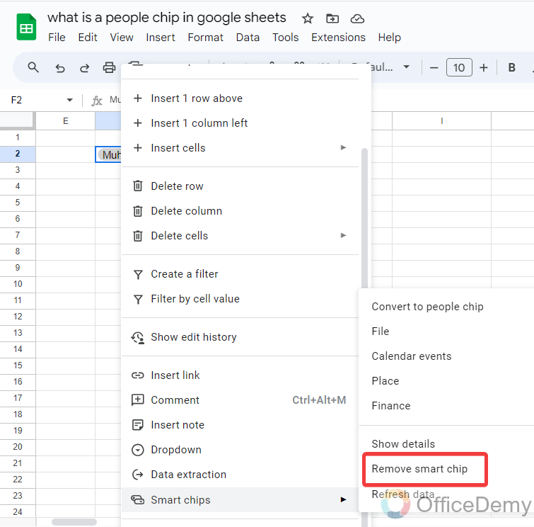 What is a People Chip in Google Sheets 14