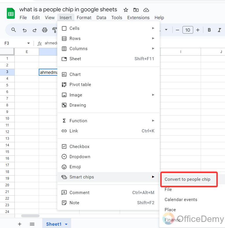 What is a People Chip in Google Sheets 18