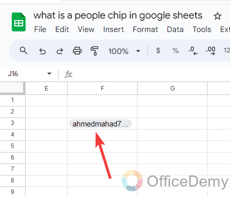 What is a People Chip in Google Sheets 19