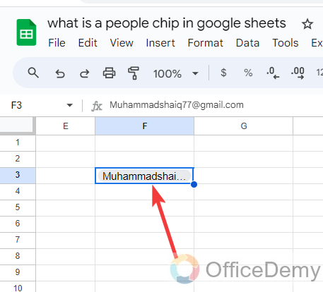 What is a People Chip in Google Sheets 20