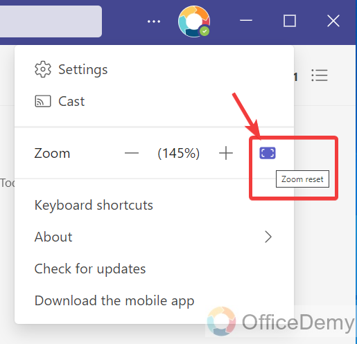 how to adjust screen size in microsoft teams 20