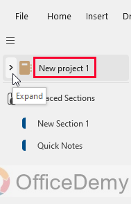 How to Share a Page in OneNote 2