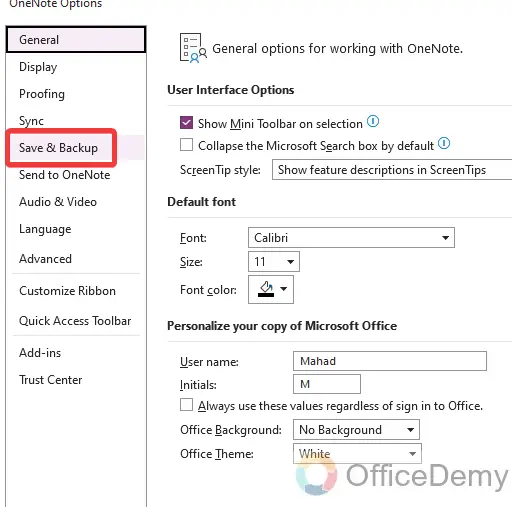how to backup onenote 11