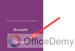 how to change default font in onenote 2