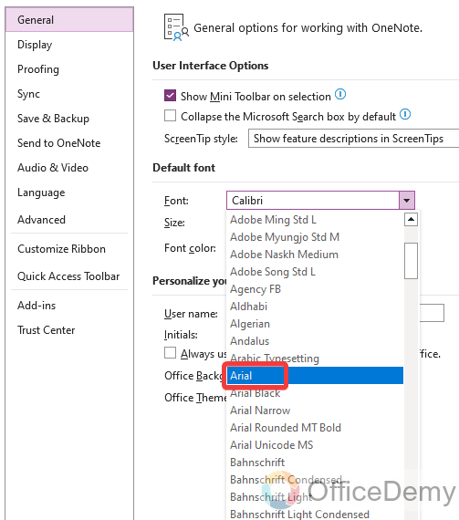how to change default font in onenote 4
