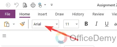 how to change default font in onenote 6