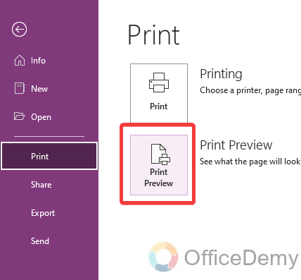 how to print in onenote 12