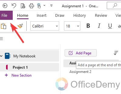 how to print in onenote 2