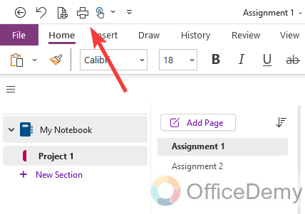 how to print in onenote 20